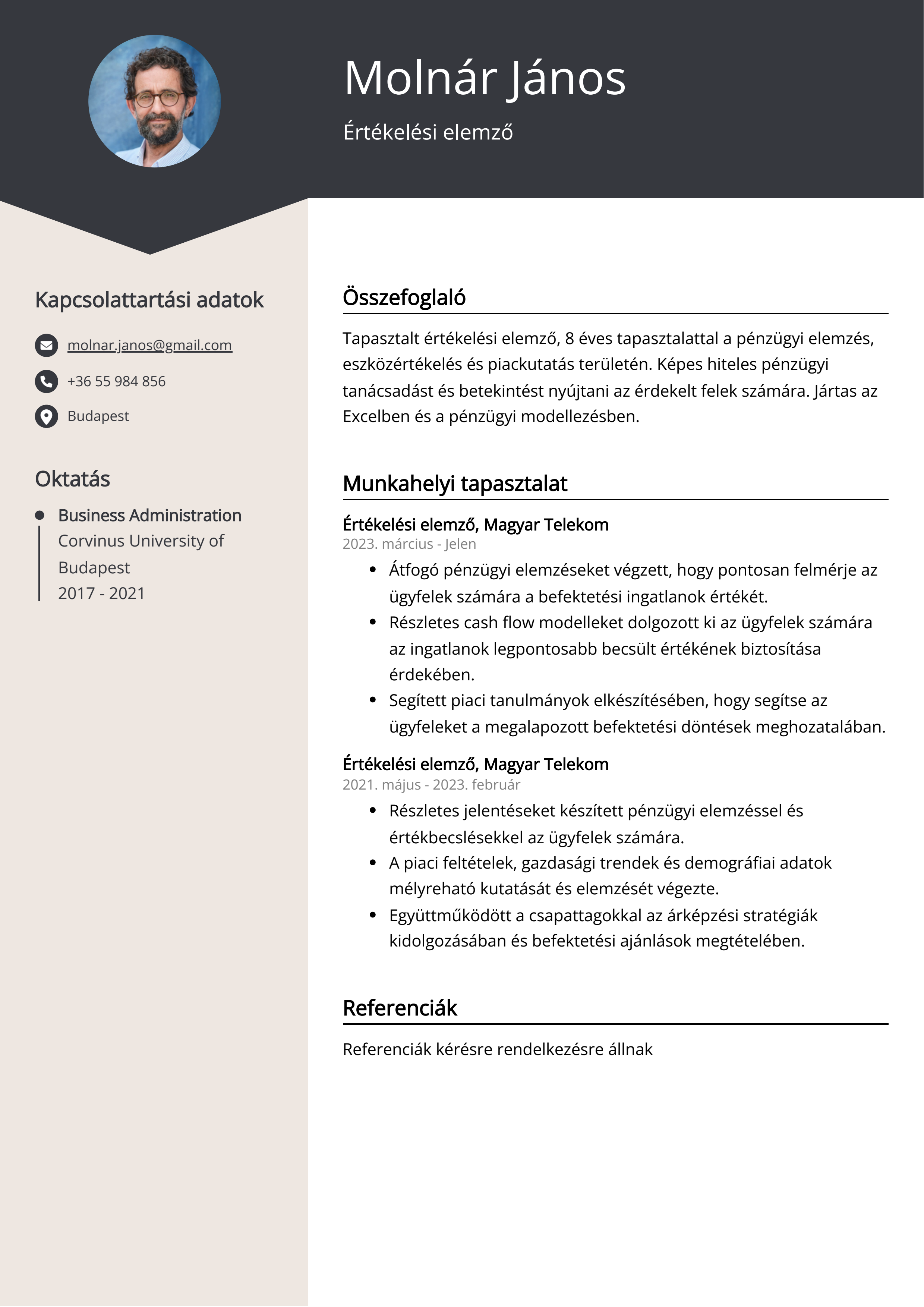 Értékelési elemző Resume Example