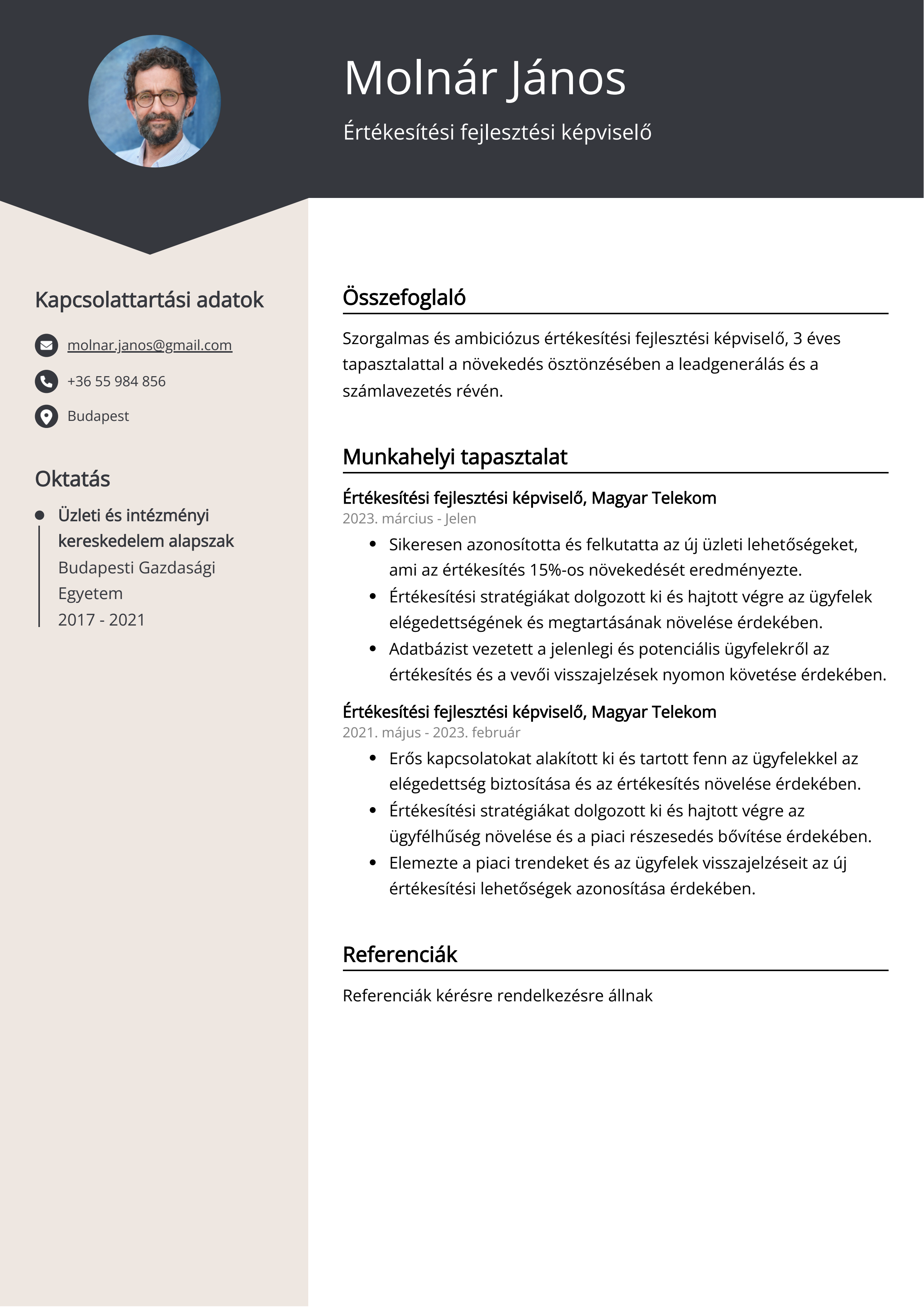 Értékesítési fejlesztési képviselő Resume Example