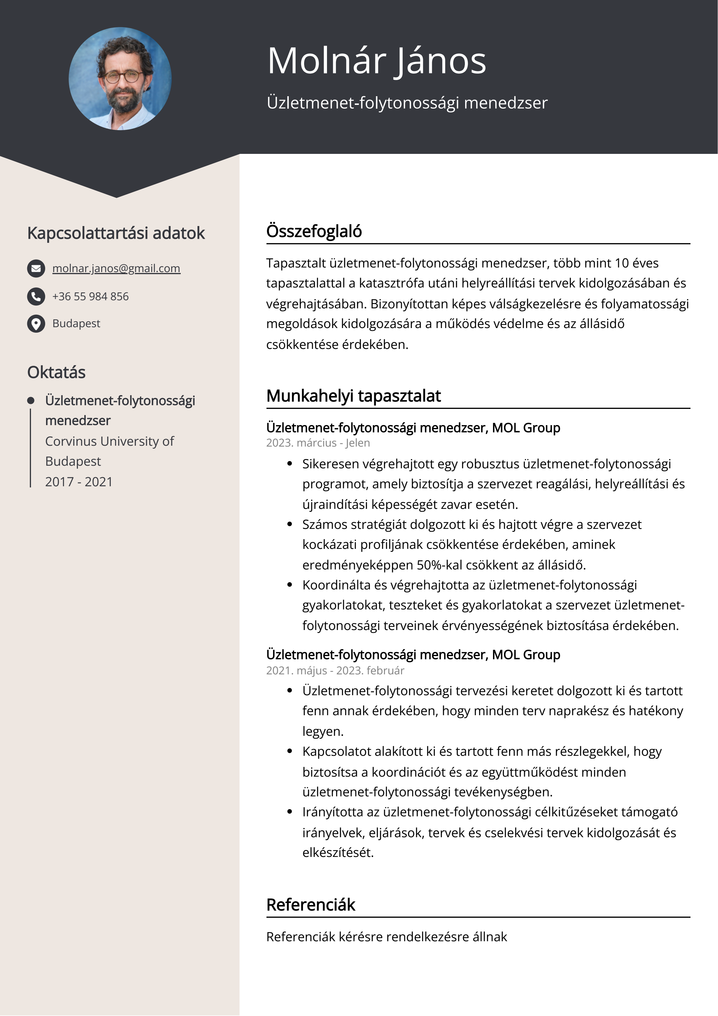 Üzletmenet-folytonossági menedzser Resume Example