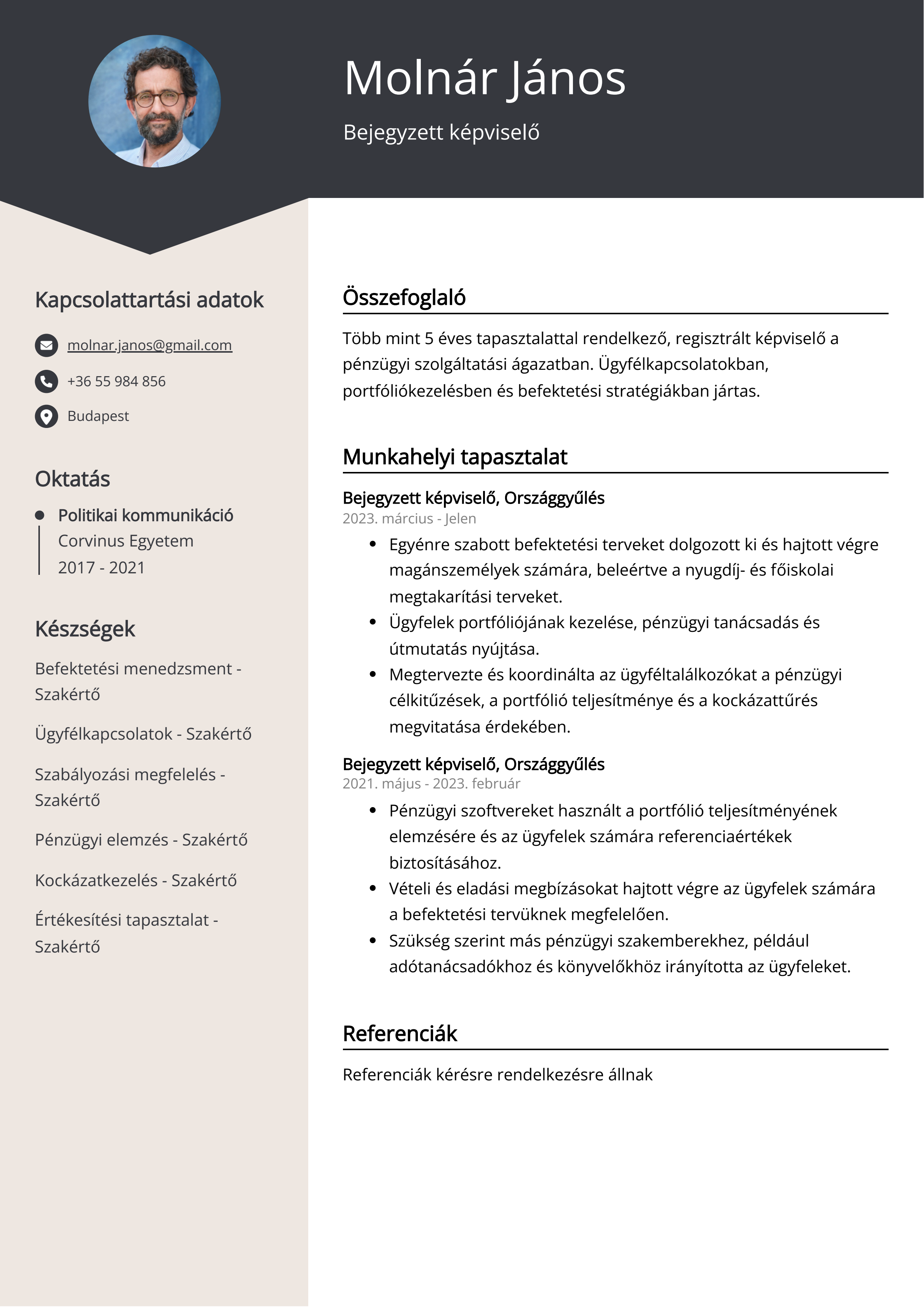 Bejegyzett képviselő Resume Example