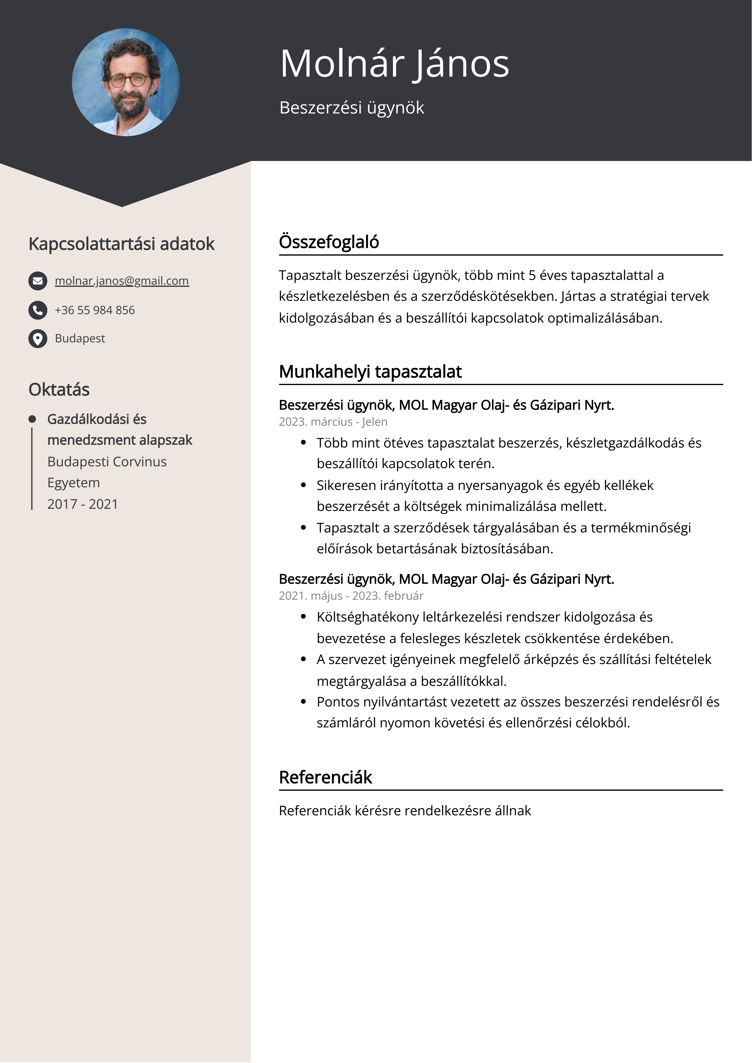 Beszerzési ügynök Resume Example