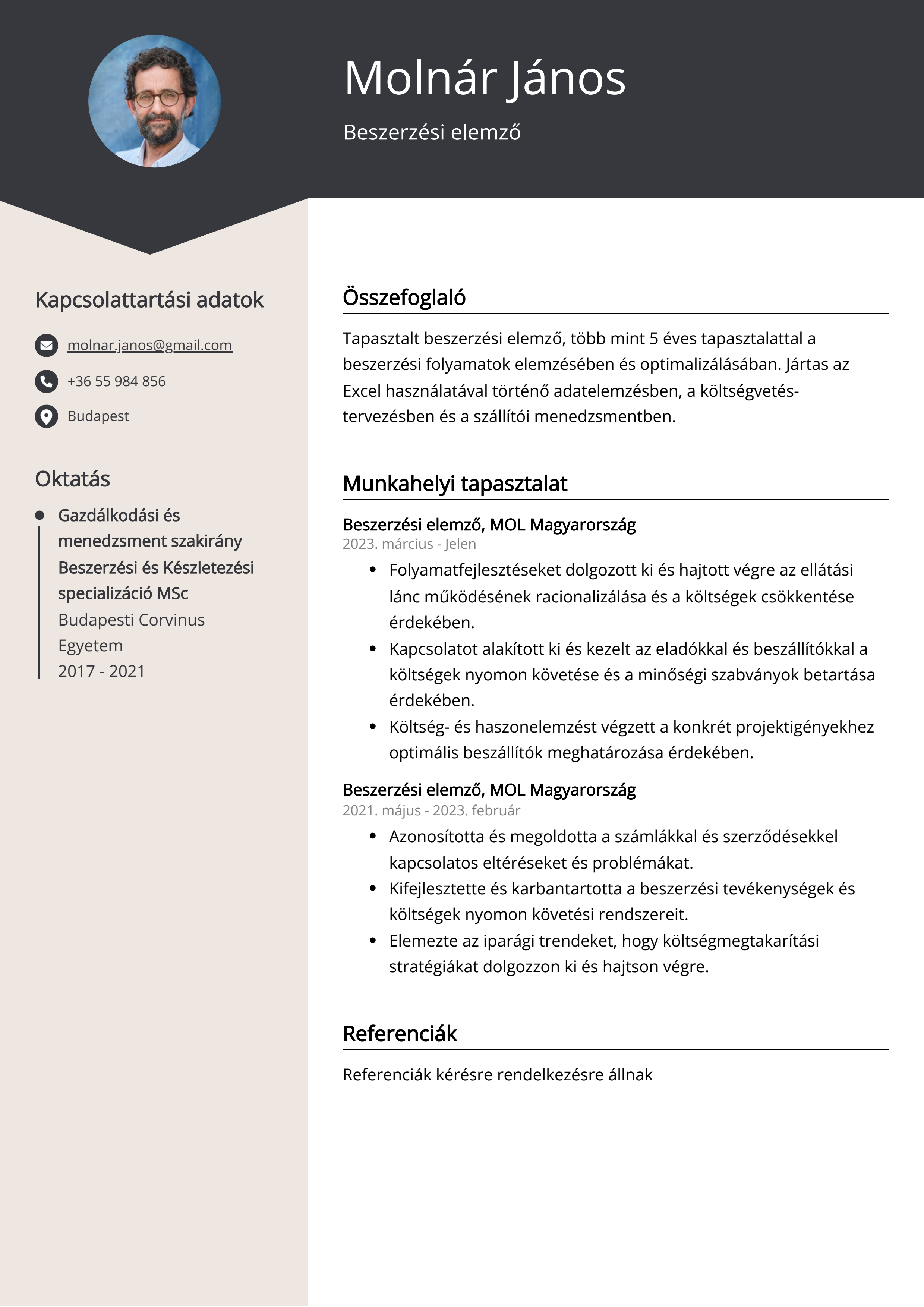 Beszerzési elemző Resume Example