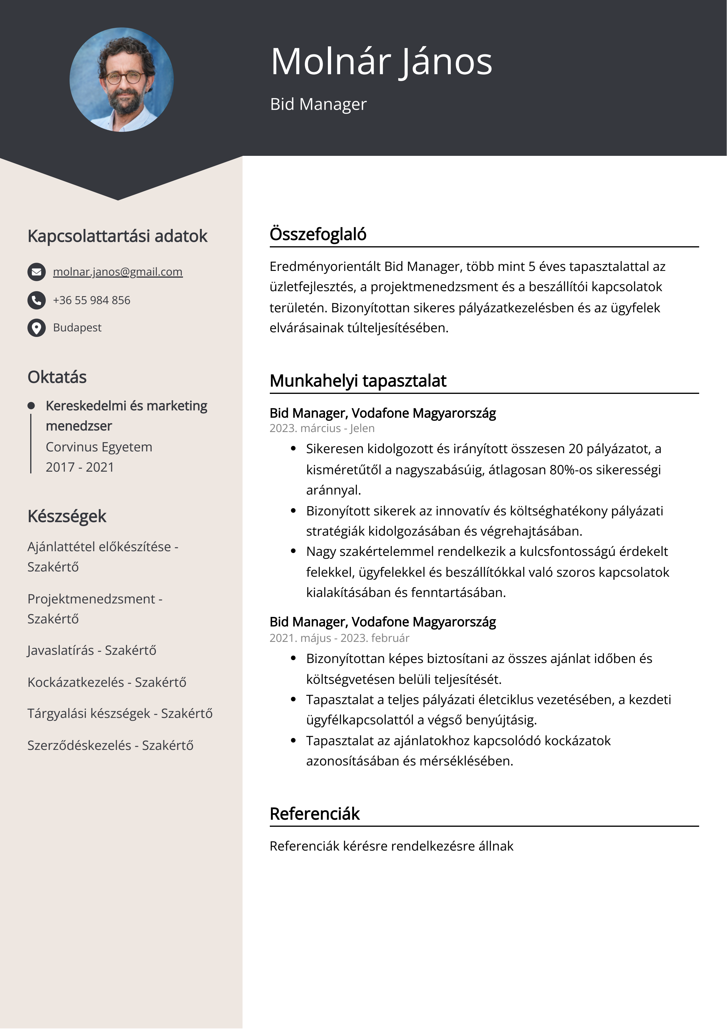 Bid Manager Önéletrajz példa