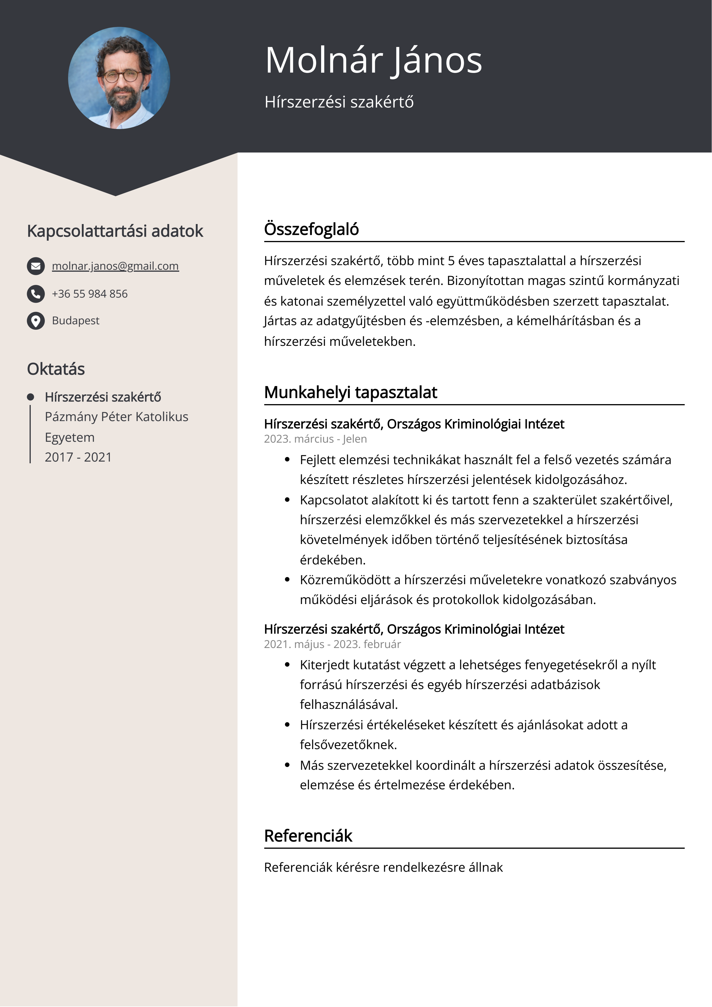 Hírszerzési szakértő Resume Example