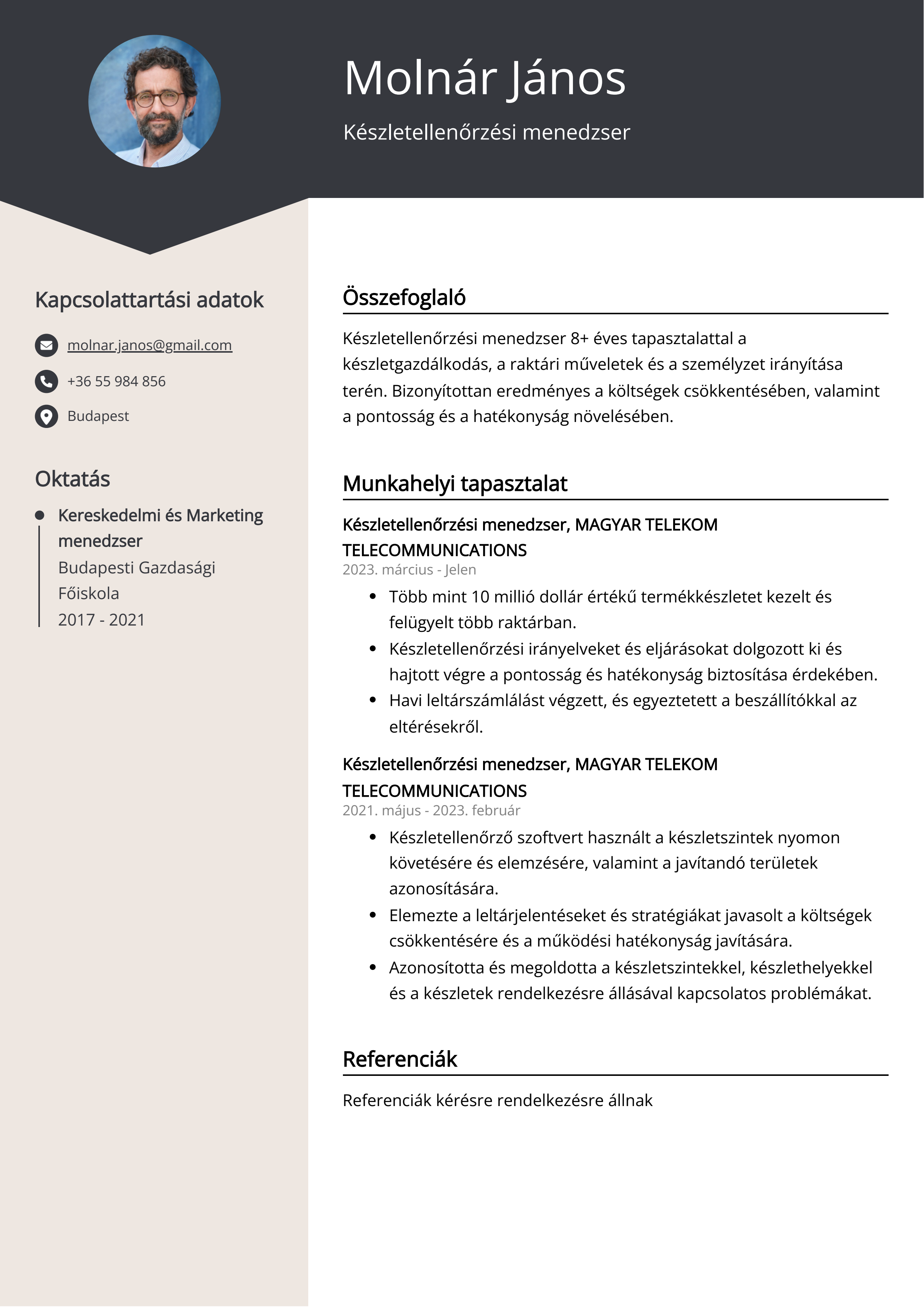 Készletellenőrzési menedzser Resume Example