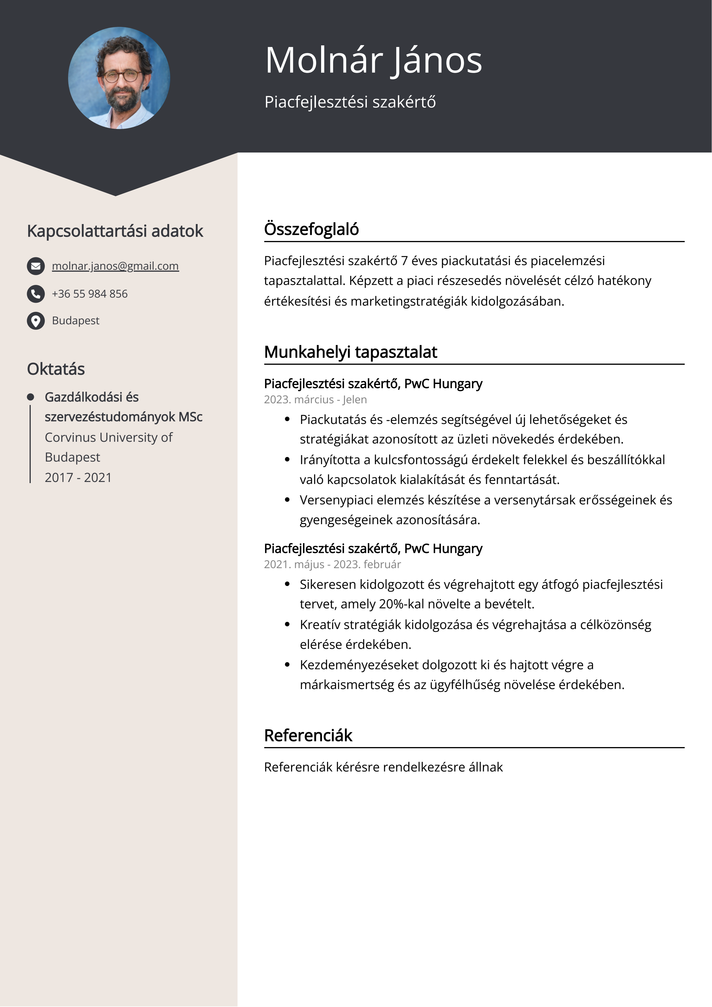 Piacfejlesztési szakértő Resume Example