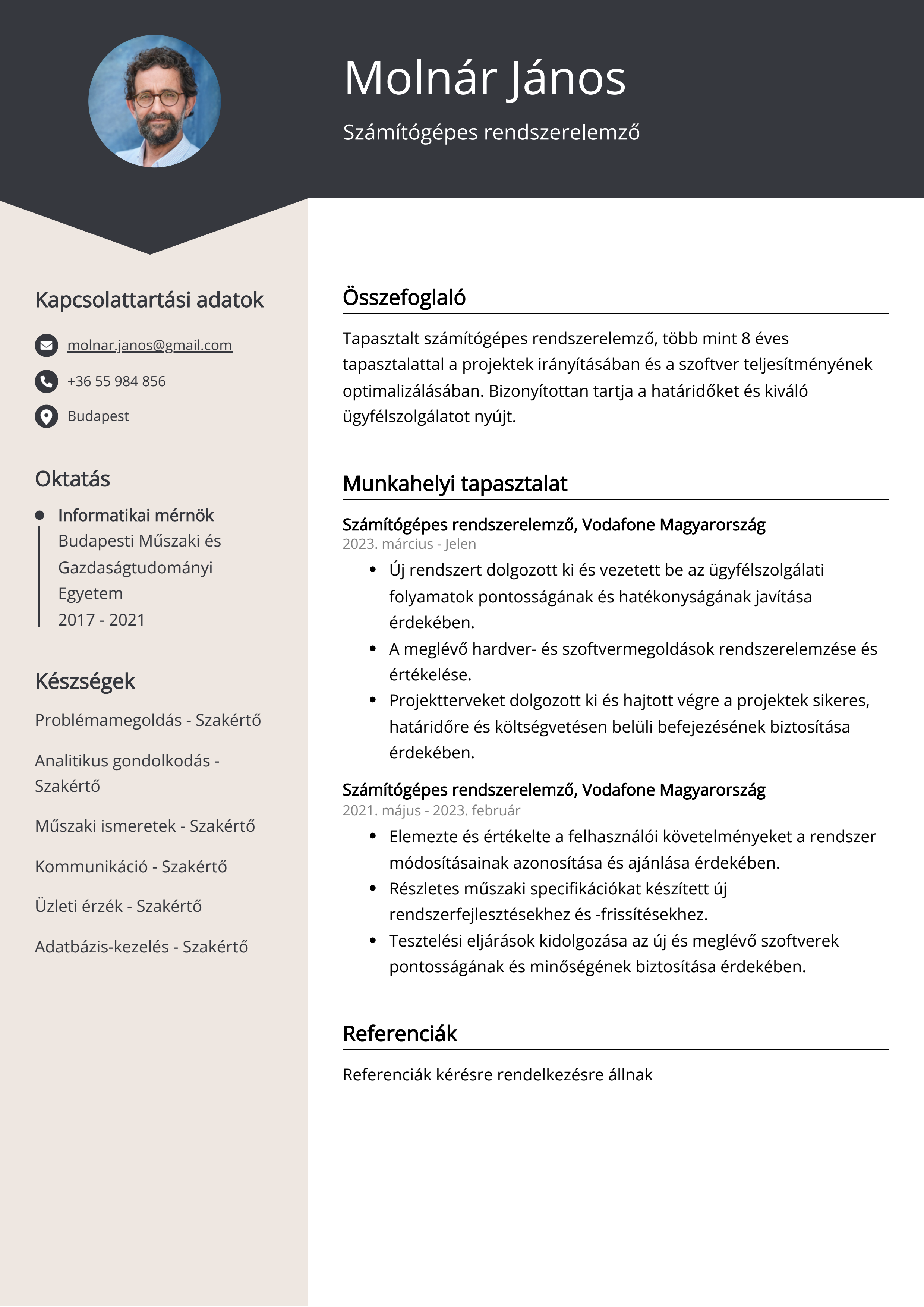 Számítógépes rendszerelemző Resume Example