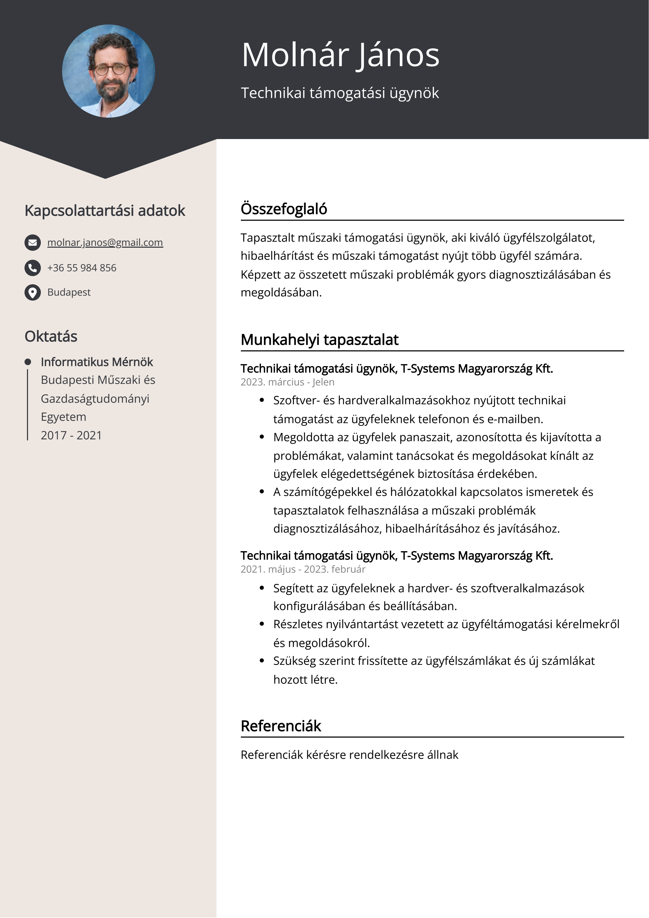 Technikai támogatási ügynök Resume Example