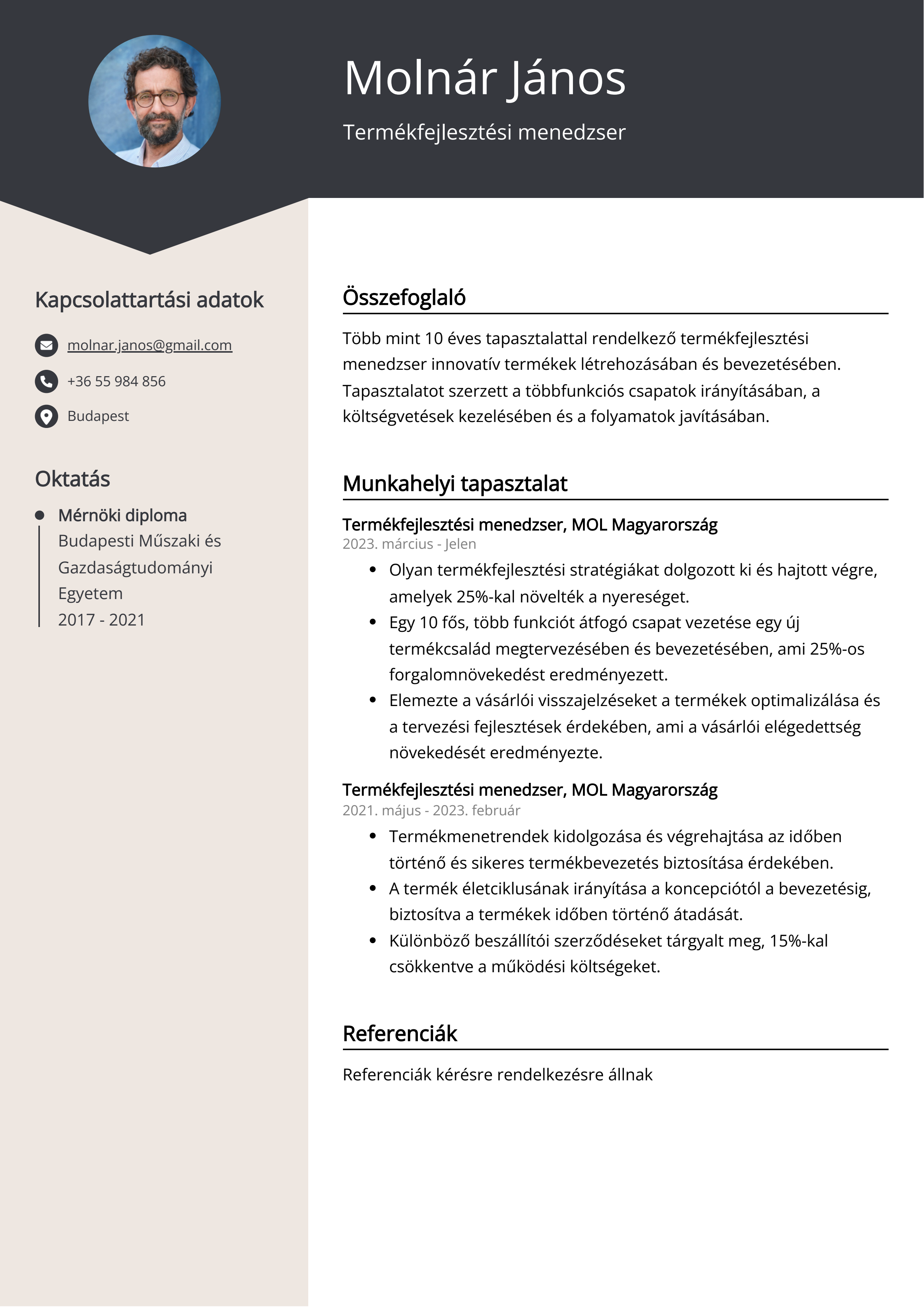 Termékfejlesztési menedzser Resume Example